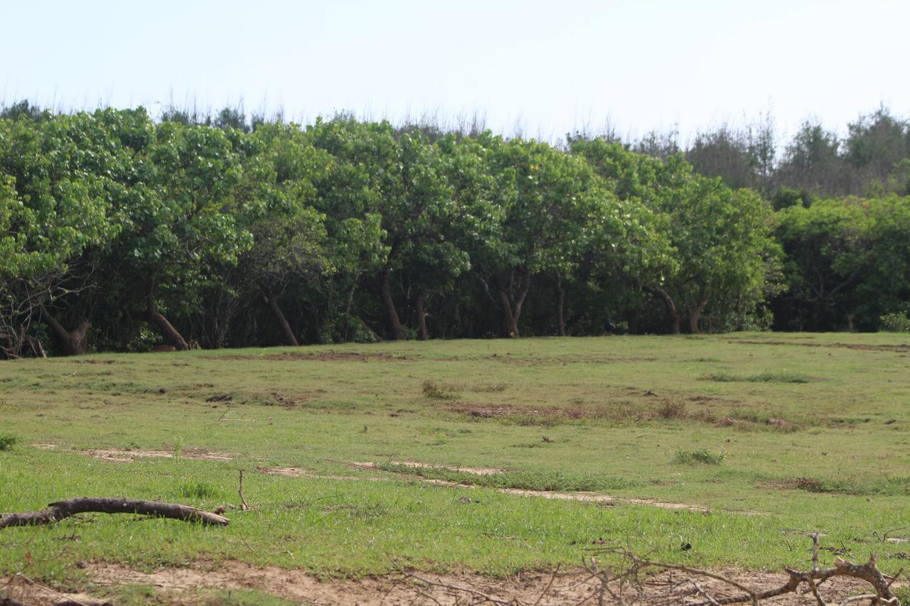 טיסמהרמה Yala Bay Resort מראה חיצוני תמונה